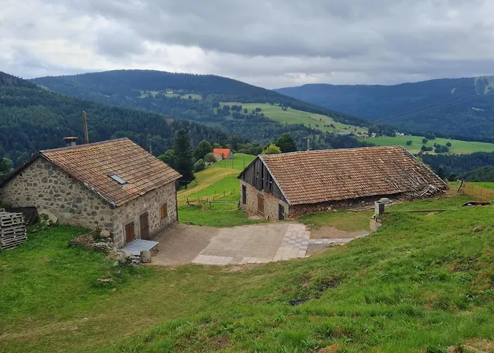 Le Chalet Du Tanet Spa Sauna Terrasse En Alsace
