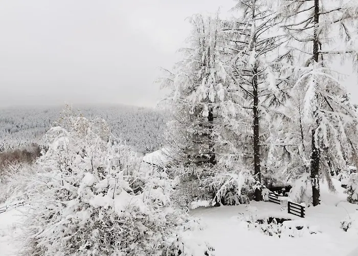 Chalet  à l’orée du bois 