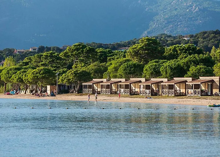 Hôtel accueillant les animaux: Camping Golfo Di Sogno