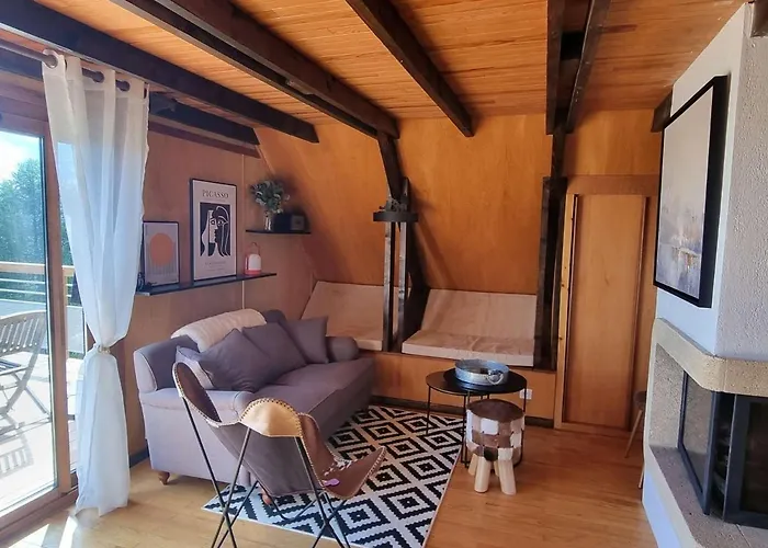 Chalet équipé 6 personnes avec cheminée et animaux admis - FR-1-393-159
