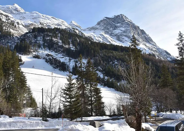 Chalet Spacieux Pres De La Foret Avec Parking Prive - Fr-1-464-176