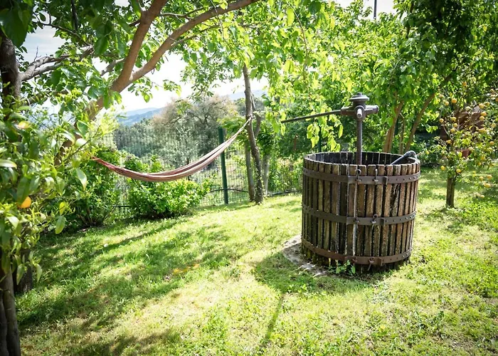 Quinta Da Mal-Disposta, Cabin Lodge Countryhouse