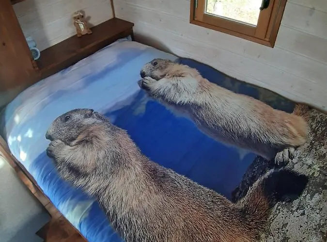 Roulotte La Marmotte