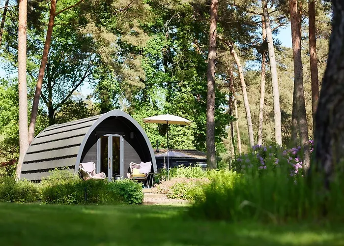 Kampinastaete, Hippe Cottages Midden In Natuurgebied De Kampina Oisterwijk