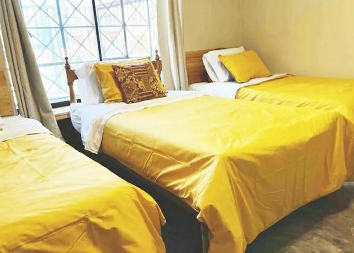 Centric Big Old House, Roomy, Petfriendly And Renovated