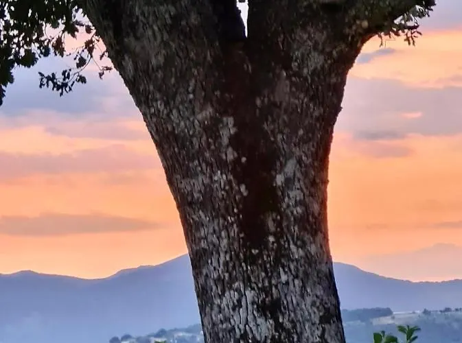 Appartamento In Casale Rustico - La Masseria
