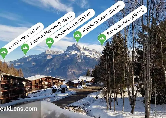 Chalet De Luxe Sur Les Pistes - 5 Chambres