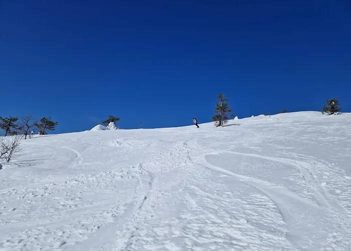 Ski-In-Out Freerider
