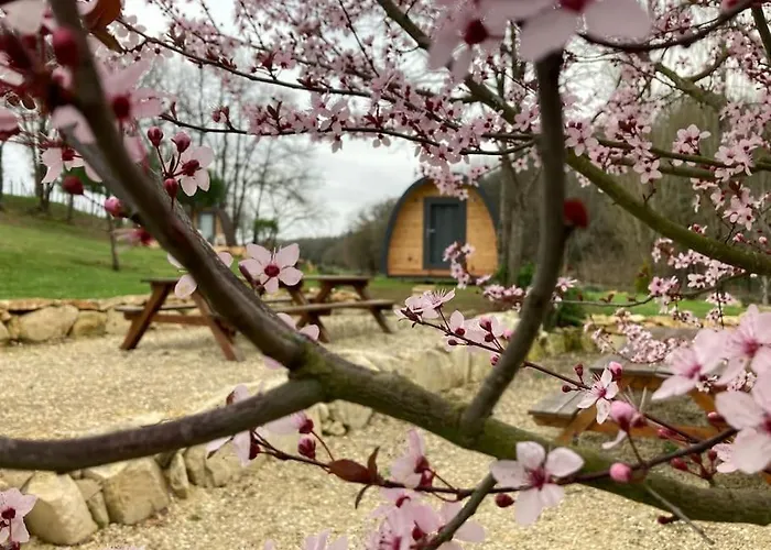 Chalet Suedois Cocooning