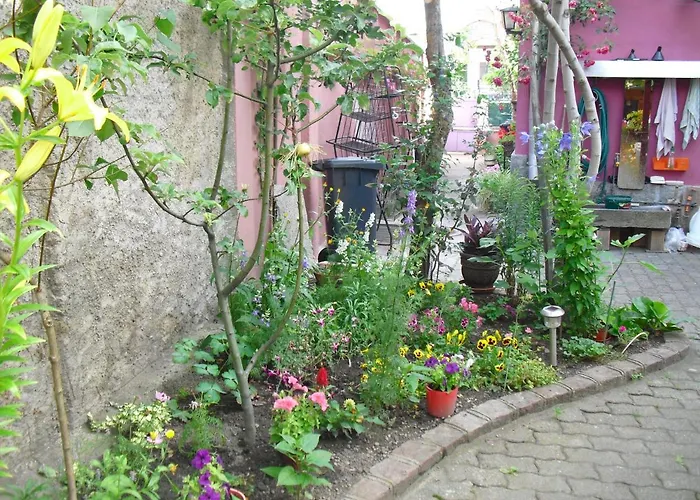 La Baraque
