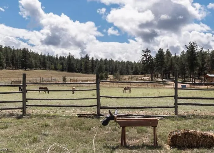 New! Charming Cozy Cabin Colorado National Forest