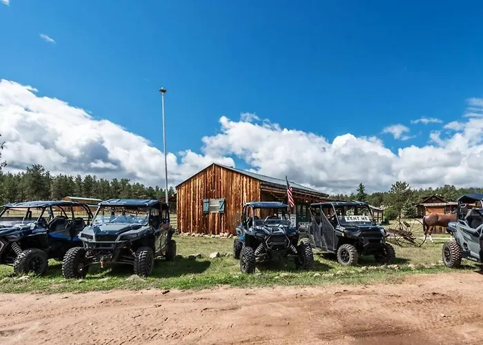 New! Charming Cabin In Colorado National Forest