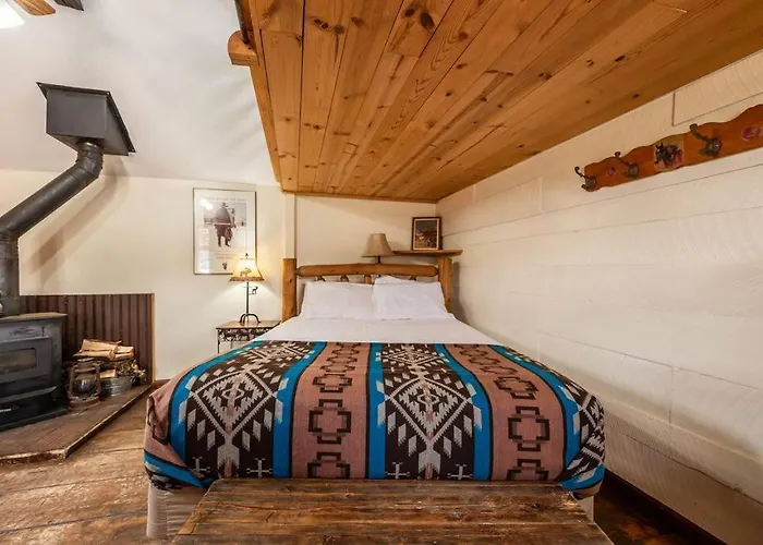 New! Charming Cozy Cabin Colorado National Forest