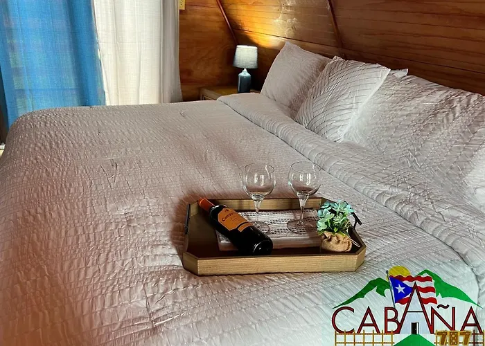 Cabana 787