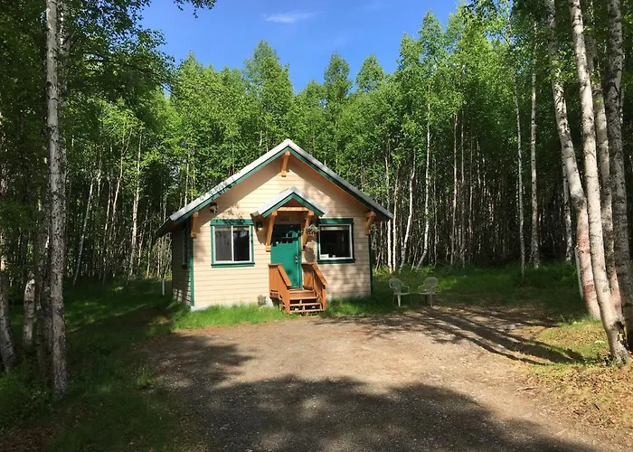 Talkeetna Mount Dall Cottage With Wifi&Laundry