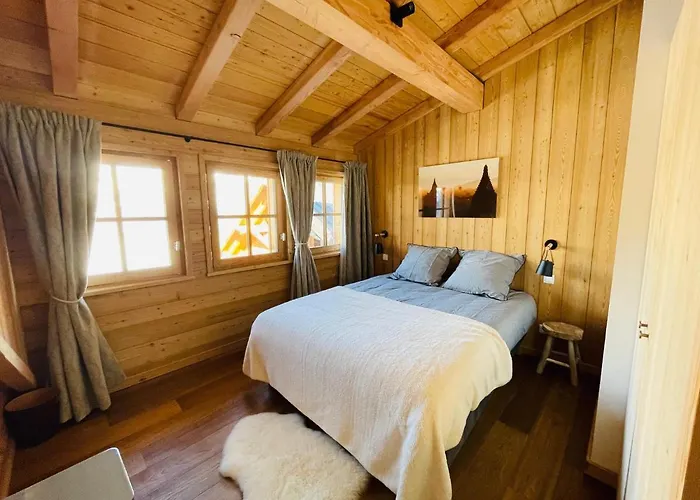 Chalet Le Yéti de Villard 14 Prs - Domaine Alpe d'Huez - Bain nordique