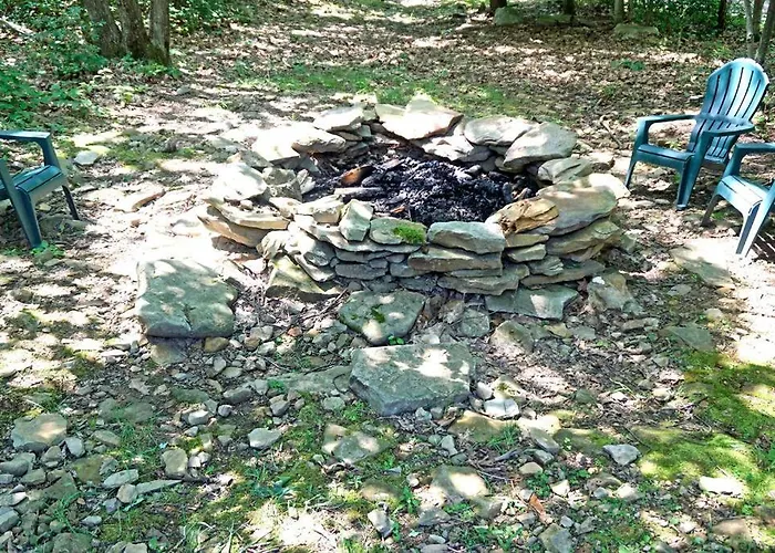 Mountain Maryland! Bear In The Woods