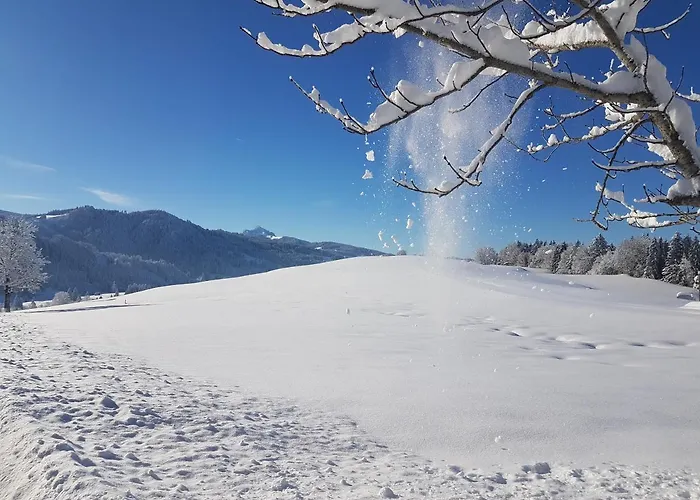4-Sterne Tiny House & Erholsame Ruhe Und Ganz Viel Natur Im Oberallgaeu