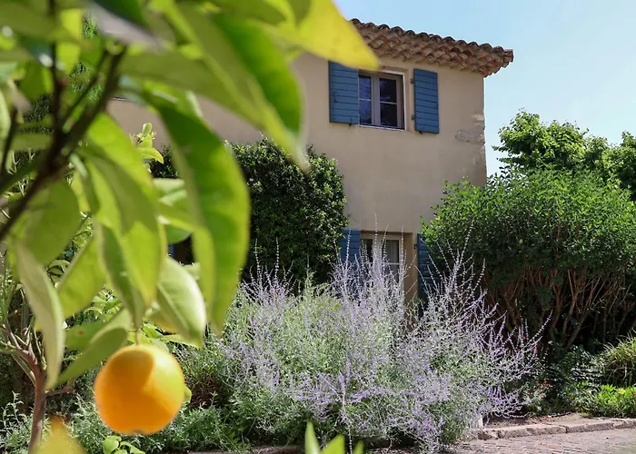 Domaine Du Moulin De Villefranche