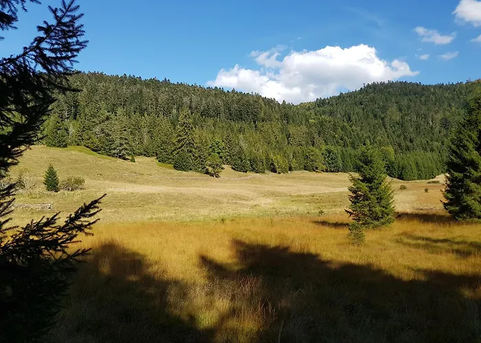 Chalet Mauselaine