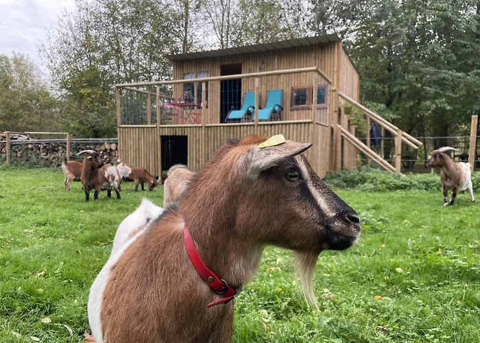 Le Cabanon