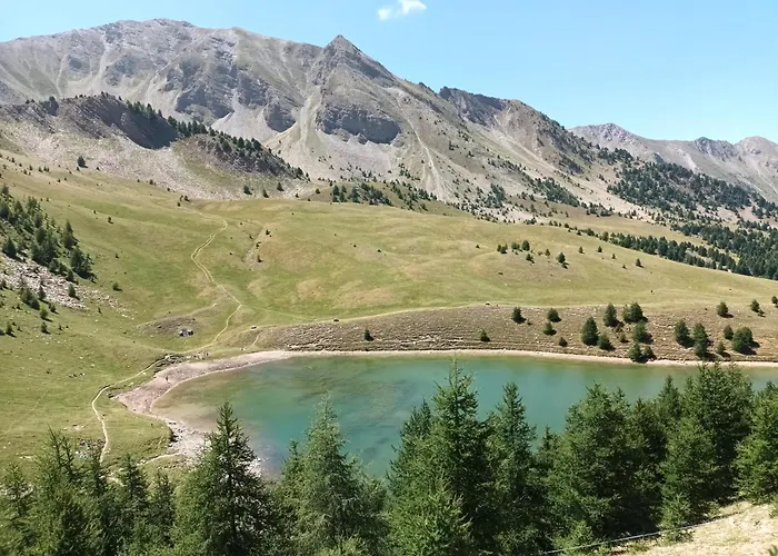 Ski Et Detente Les Orres 1650 Animaux Ok