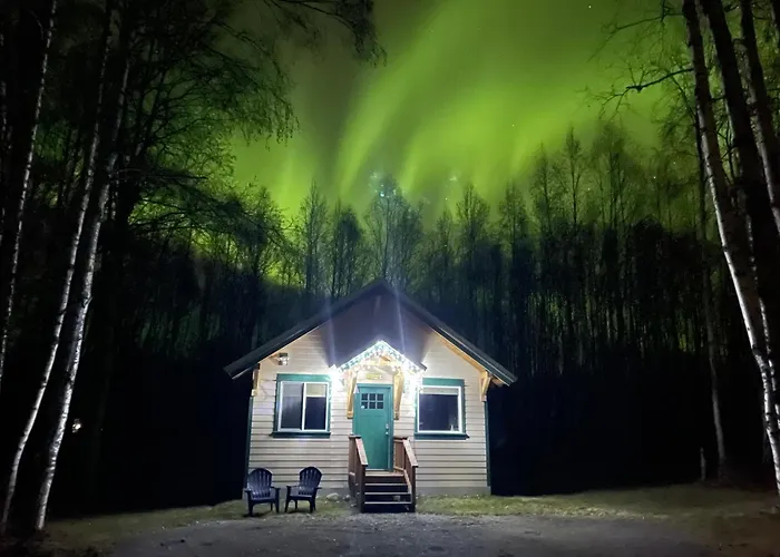 Talkeetna Mount Dall Cottage With Wifi&Laundry