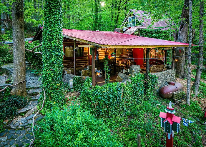 Bear Creek Lodge: Riverside Retreat near Downtown Helen