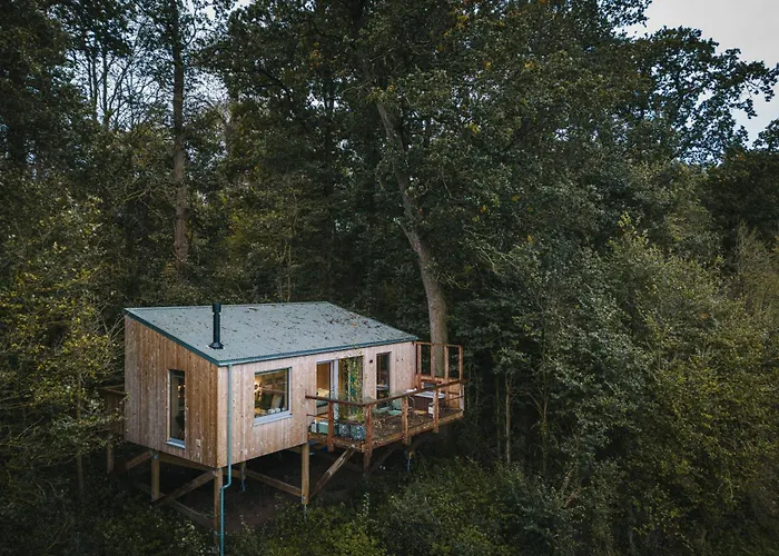 Elmore Wild Treehouses