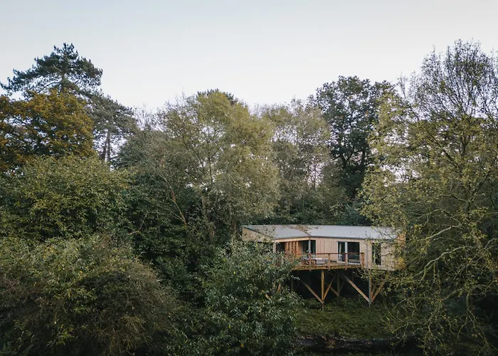 Elmore Wild Treehouses