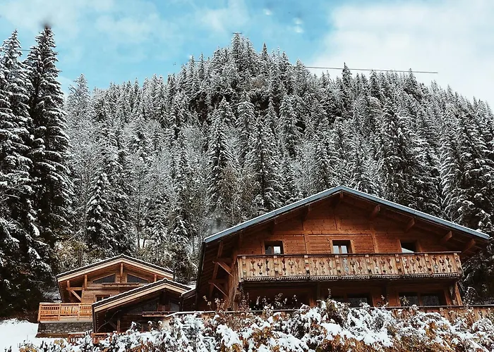 Savoya Lodges, 4 Chalets Prives, De 2 A 40 Personnes