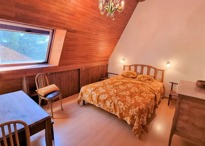 Chalet Saint-Michel-de-Chaillol, 6 pièces, 10 personnes - FR-1-393-38