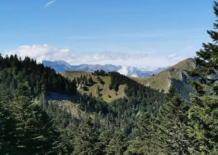 Cabane dans les bois avec vue sur les Pyrénées