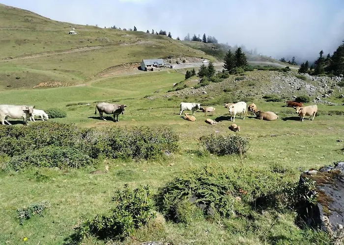 Cabane dans les bois avec vue sur les Pyrénées