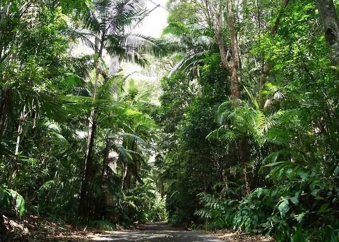 Songbirds Rainforest Retreat