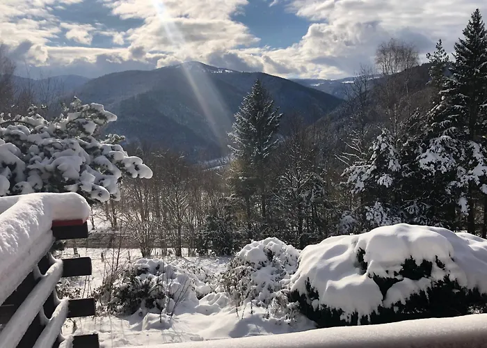 Chalet Braunkopf Alsace