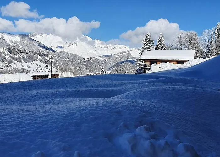 Chalet confort 10 pers, proche pistes, jardin, BBQ, wifi - FR-1-733-142