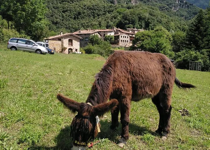 Mas La Cabanya Beget Xalet De Muntanya