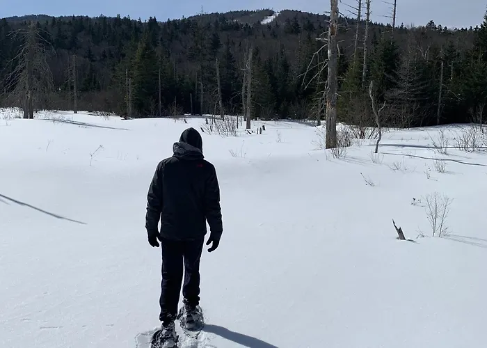 Bmv7 Tiny Home Village Near Bretton Woods