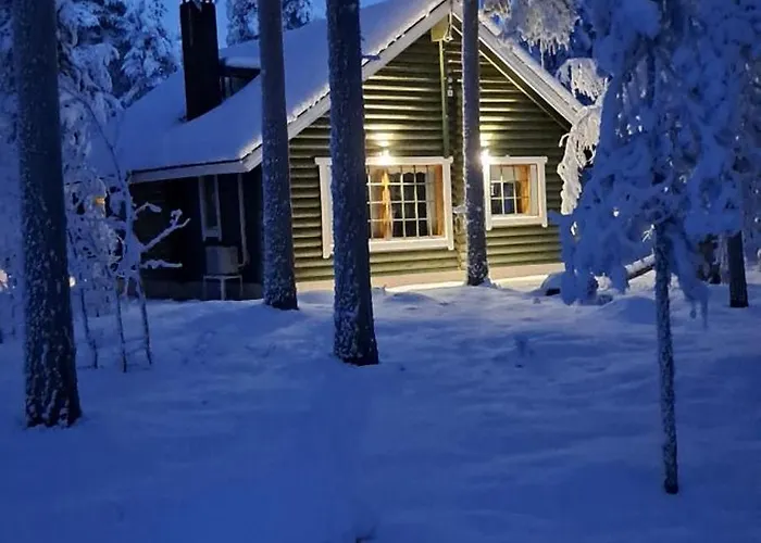 Levihaukka 10