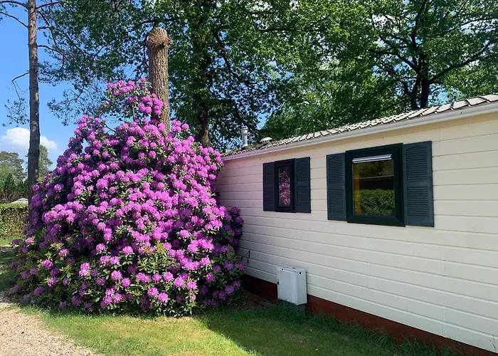 Sunnychalet