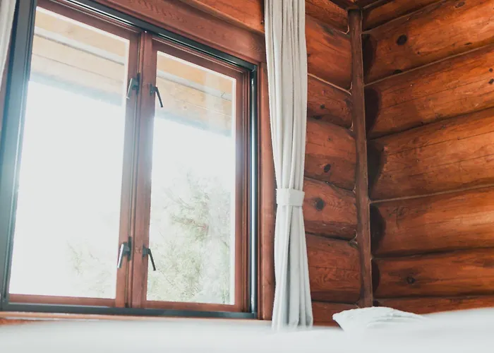 Hakuba Pension & Log Hotel Meteor