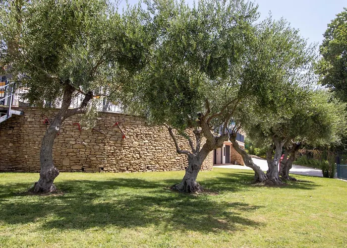 Cortijo San Antonio De Trejo - By Allexperiences