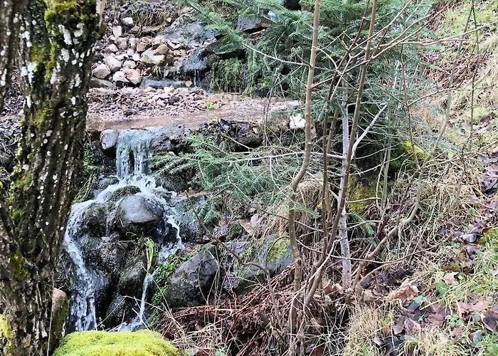Chalet Les Mines - Hautes Vosges