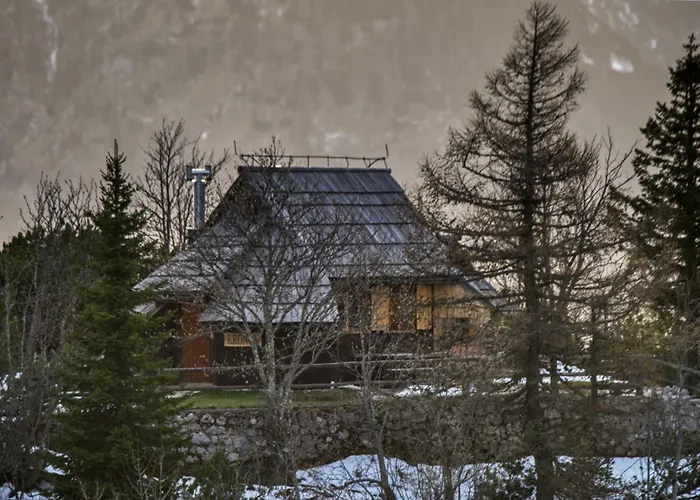 Koca Kronca - Velika Planina