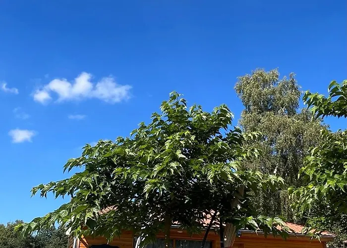 Chalet des Anges