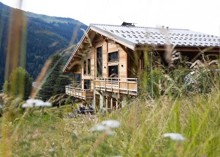 Chalet Mitoyen - Jacuzzi - Cousinade I