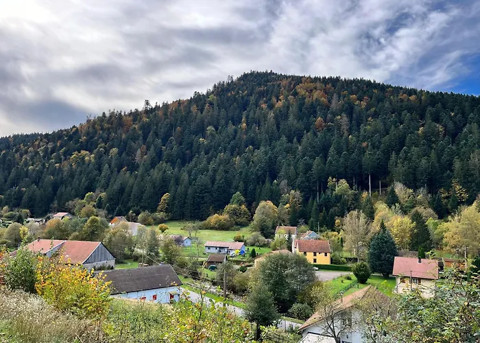 Chalet Des Roches - Plainfaing