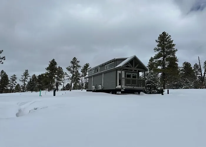 Cozy Cabin By Forest View 7B