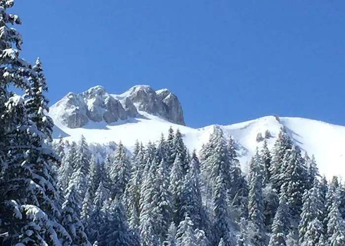Chalet Haute-Savoie
